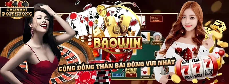 Baowin nguồn gốc hình thành và phát triển.